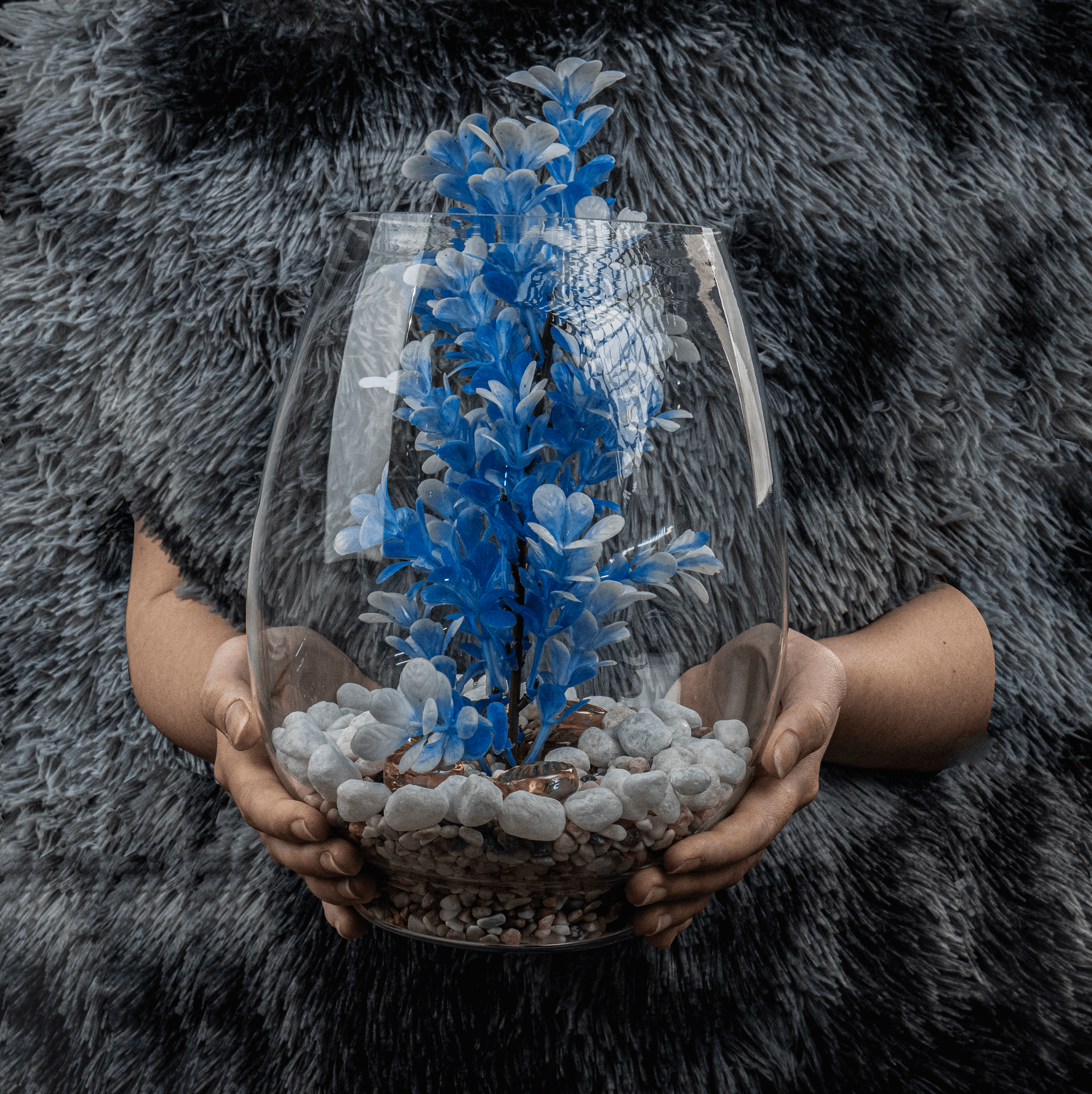 ảnh chính sách đổi trả Bình/Chum thủy tinh cấm hoa, trồng thủy sinh, bể cá mini decor sang trọng